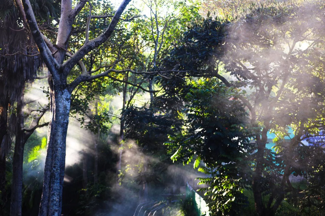 5 Days Ethiopia Coffee Tours