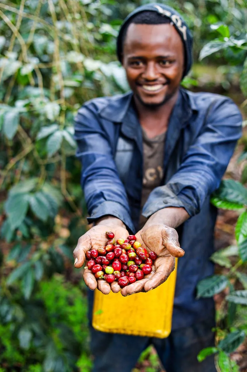 5 Days Ethiopia Coffee Tours