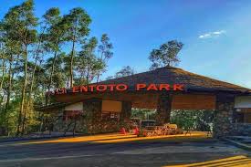 Entoto Park